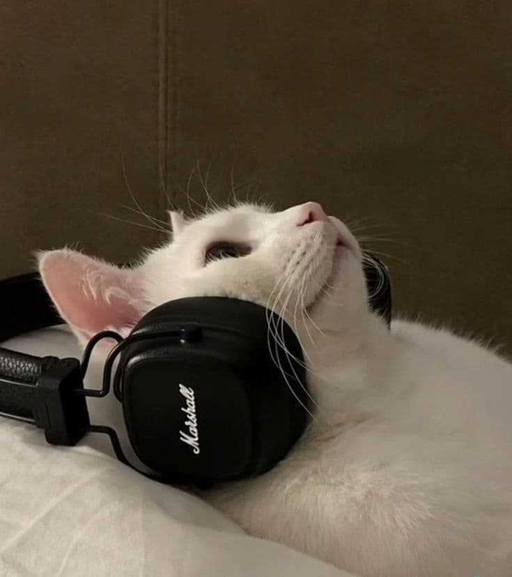 From bottlenecks to breakthroughs: Redefining success with a modernized D365 CRM platform